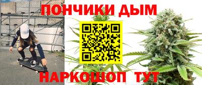 гашик Бердск