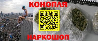 гашик Бердск