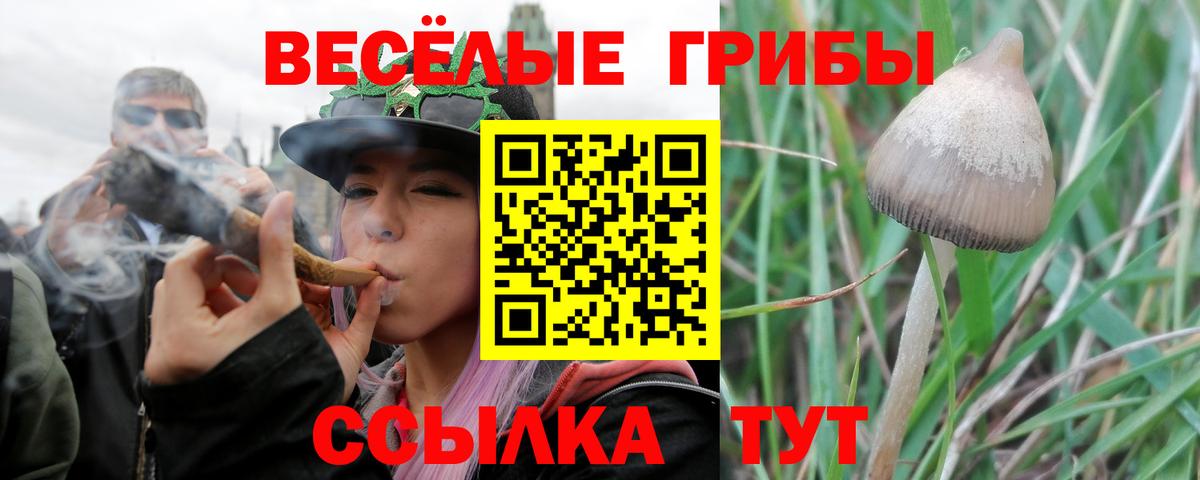 Псилоцибиновые грибы ЛСД  Вход с VPN  Галлюциногенные грибы Magic Shrooms  Кизилюрт 